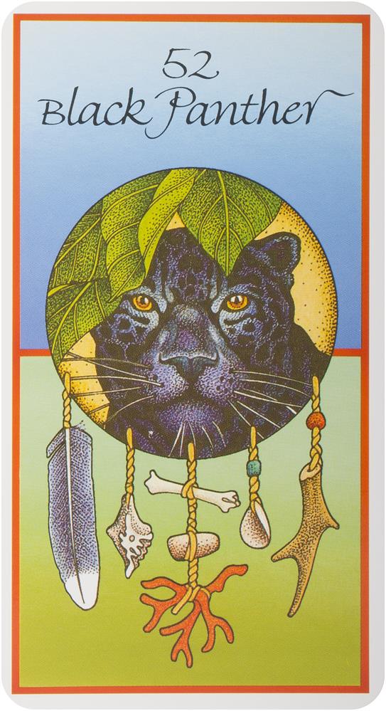 Medicine Cards: The Discovery of Power Through the Ways of Animals