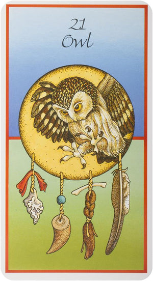Medicine Cards: The Discovery of Power Through the Ways of Animals