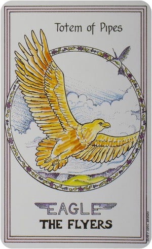 Medicine Woman Tarot Deck