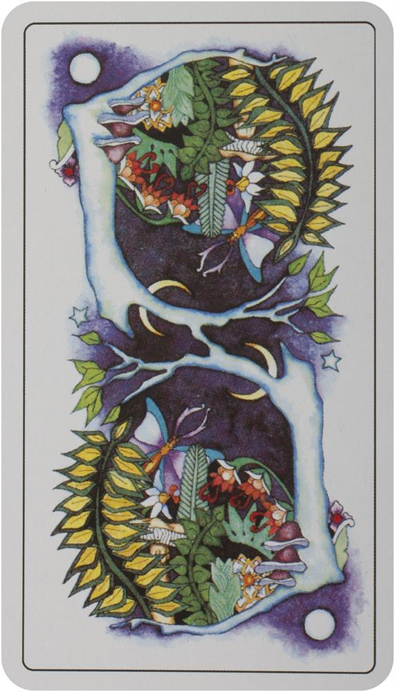 Tarot of a Moon Garden Deck