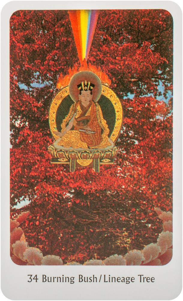 Tantric Dakini Oracle (Set Of 65 Cards & 224-Pp Book; Boxed)