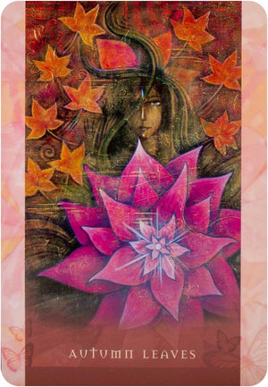 Universal Wisdom Oracle Cards : Book and Oracle Card Set