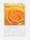 Spirit Oracle : 54 Guidance Cards
