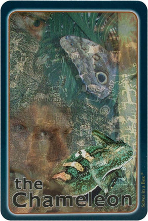 Selves In A Box (52-Card Deck & Guidebook)