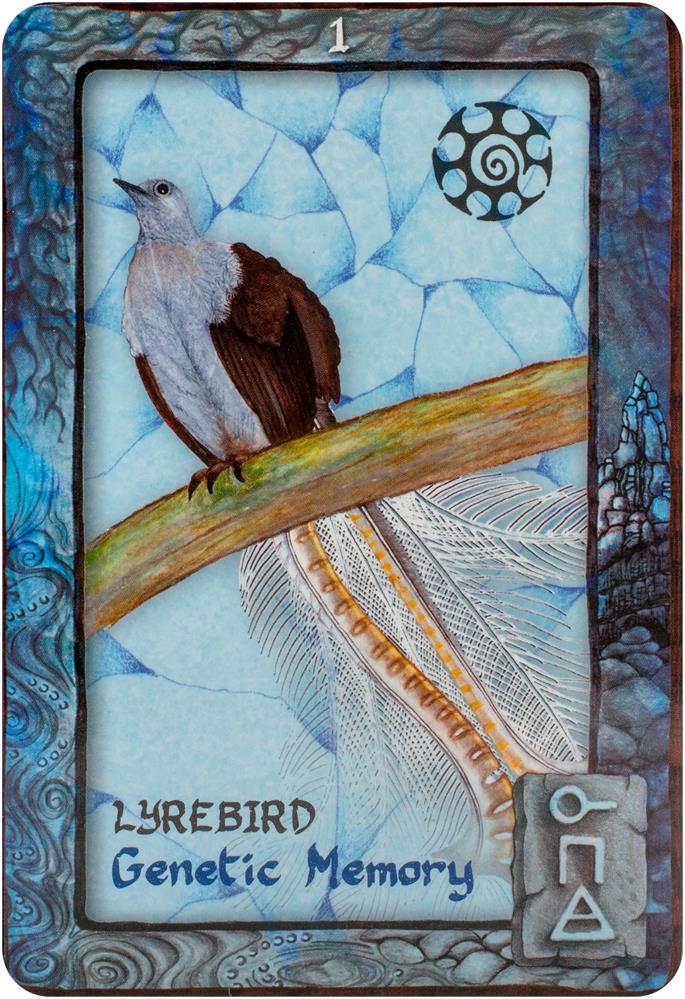 Animal Dreaming Oracle (Featuring 45 Cards & 132 Page Guidebook) (Deck)