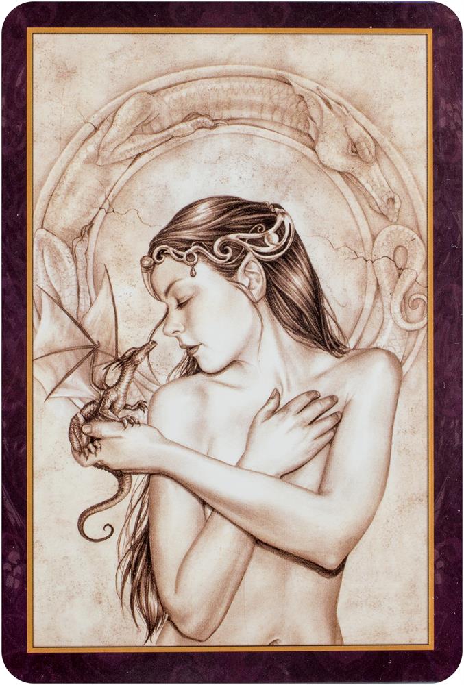 Oracle of the dragonfae - oracle card and book set