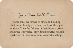 Wild Kuan Yin Oracle - Pocket Edition : Soul Guidance From the Wild Divine