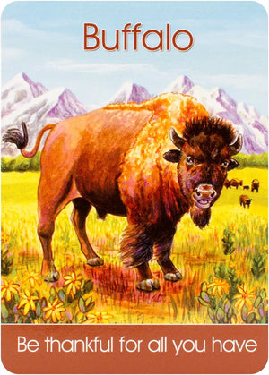 Children's Spirit Animal Cards (24 Cards & Guidebook)