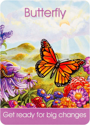 Children's Spirit Animal Cards (24 Cards & Guidebook)