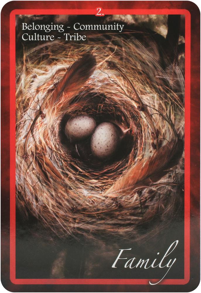 Chakra Insight Oracle : A Transformational 49-card deck