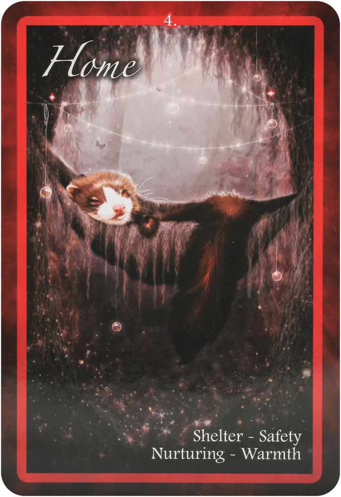 Chakra Insight Oracle : A Transformational 49-card deck