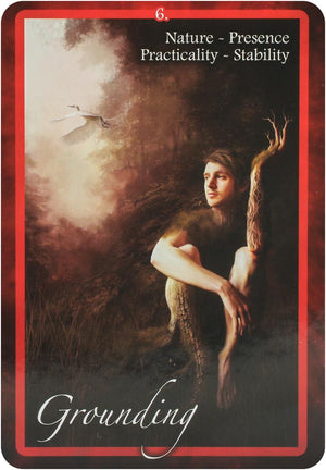 Chakra Insight Oracle : A Transformational 49-card deck