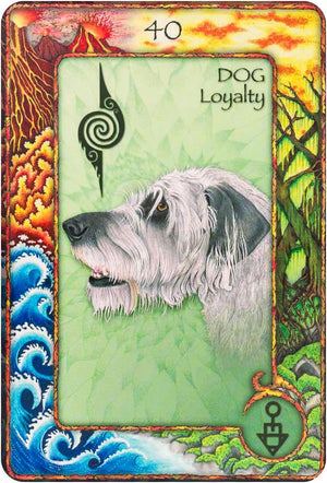 World Animal Dreaming Oracle - Revised And Expanded Edition