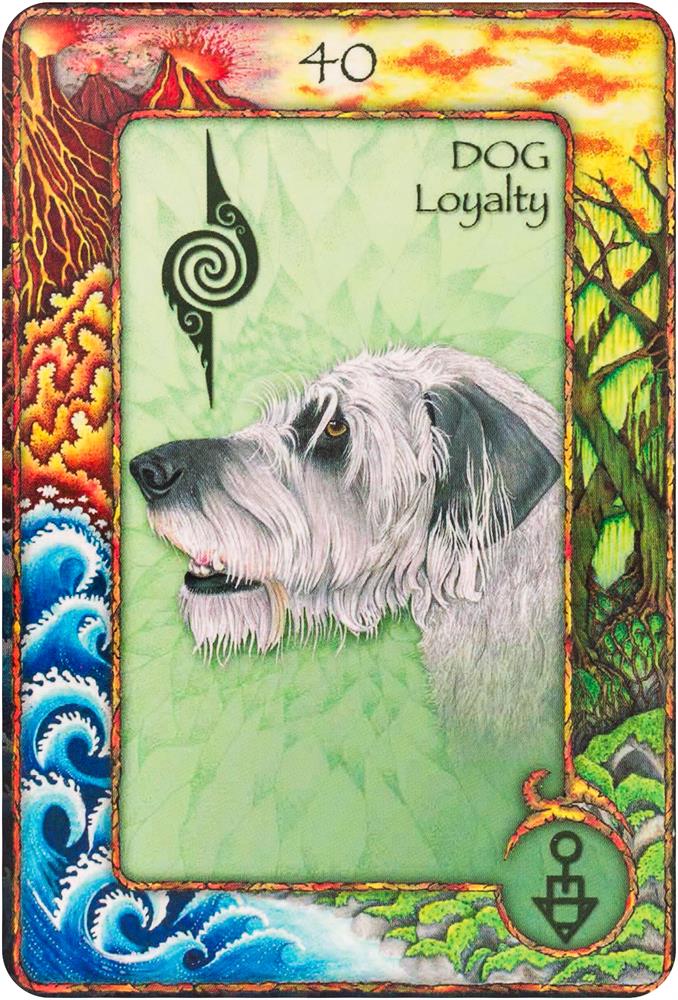 World Animal Dreaming Oracle - Revised And Expanded Edition