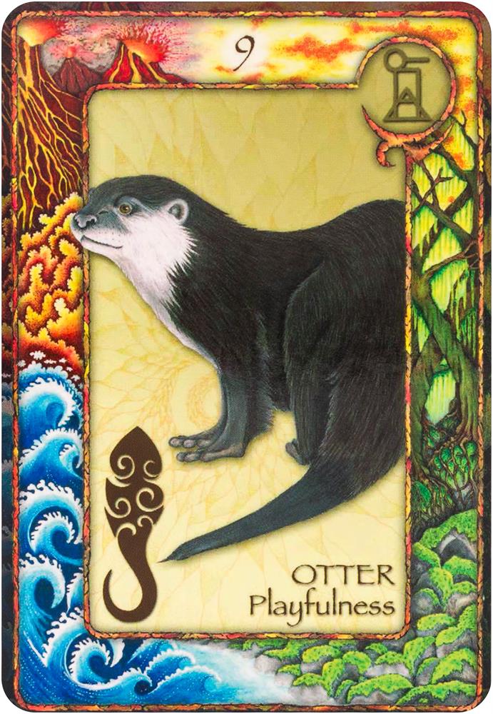 World Animal Dreaming Oracle - Revised And Expanded Edition
