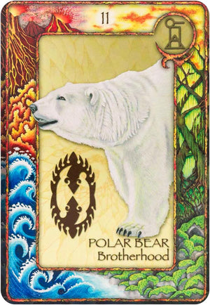 World Animal Dreaming Oracle - Revised And Expanded Edition