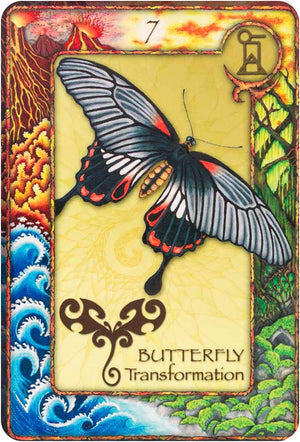World Animal Dreaming Oracle - Revised And Expanded Edition