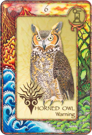 World Animal Dreaming Oracle - Revised And Expanded Edition
