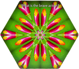 Inquiry Cards: The Deck That Asks You The