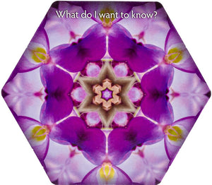 Inquiry Cards: The Deck That Asks You The