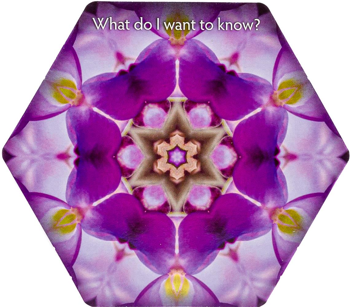 Inquiry Cards: The Deck That Asks You The