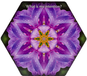 Inquiry Cards: The Deck That Asks You The