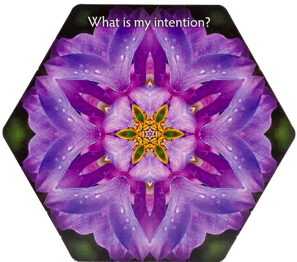 Inquiry Cards: The Deck That Asks You The