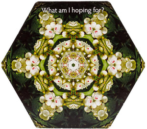 Inquiry Cards: The Deck That Asks You The