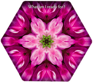 Inquiry Cards: The Deck That Asks You The