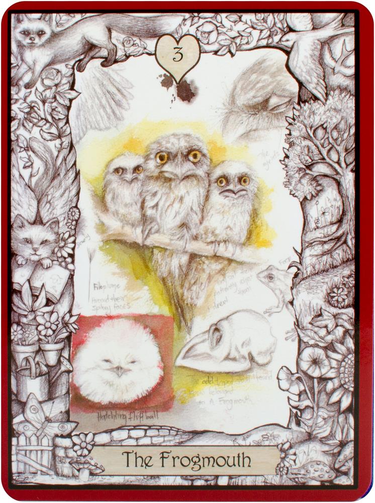 Oracle Of The Innocent Heart : Oracle Cards and Guidebook