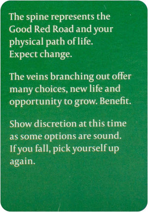 Nature's Wisdom Message Cards : 70 Affirmation Cards with Instructions for Use