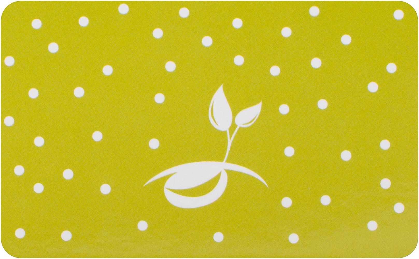 Seeds Of Intention: Daily Intentions For L
