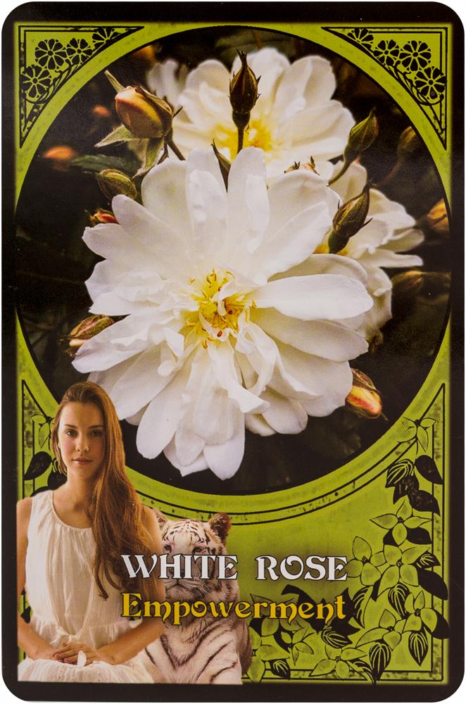Flower Magic Oracle Cards
