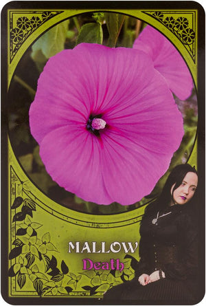 Flower Magic Oracle Cards