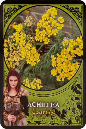 Flower Magic Oracle Cards