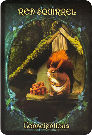 Witches' Familiars Oracle Cards