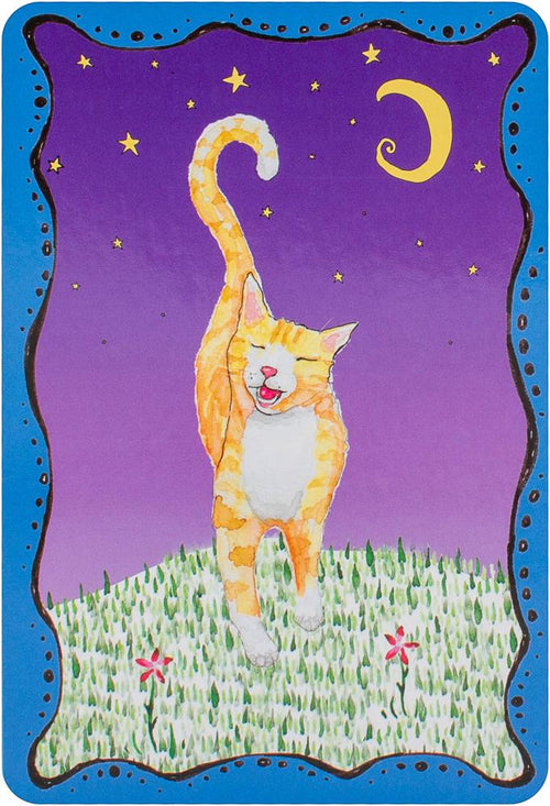 Cosmic Cat Wisdom Deck: A 60 Card Deck And