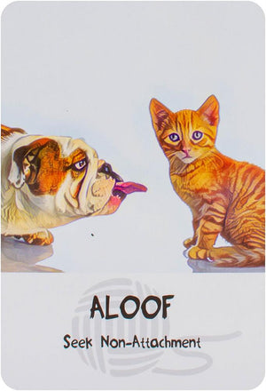Cosmic Cat Wisdom Deck: A 60 Card Deck And