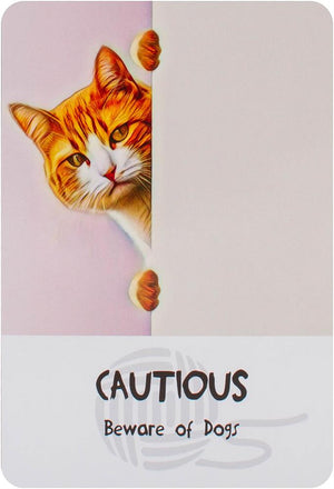 Cosmic Cat Wisdom Deck: A 60 Card Deck And