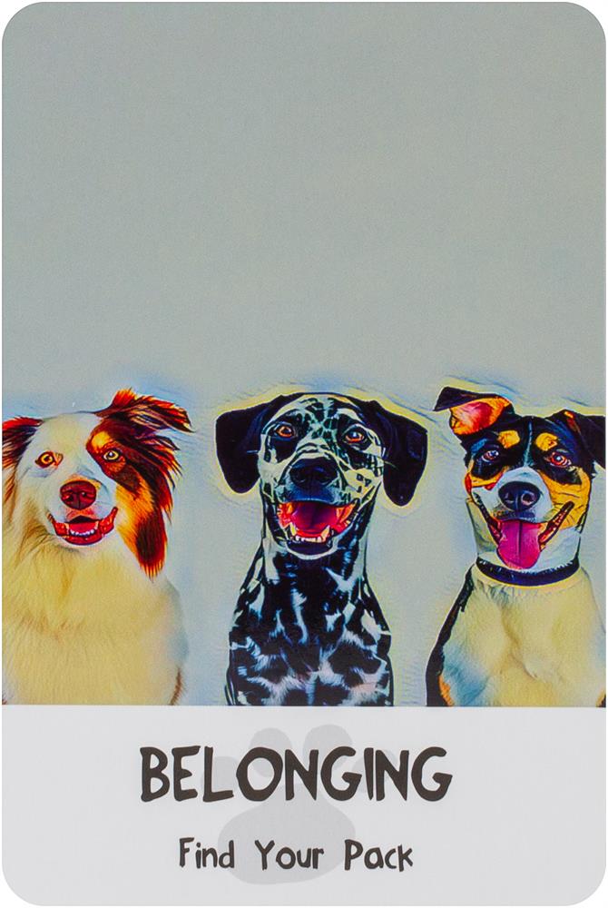 Divine Dog Wisdom Cards (2Nd Edition) **Co