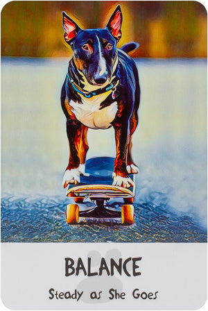 Divine Dog Wisdom Cards (2Nd Edition) **Co
