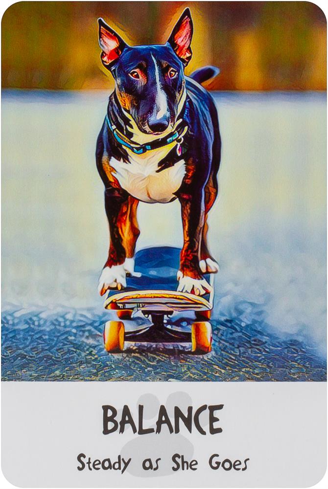 Divine Dog Wisdom Cards (2Nd Edition) **Co