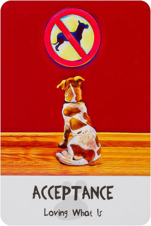 Divine Dog Wisdom Cards (2Nd Edition) **Co