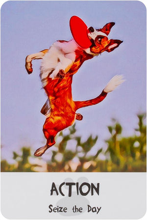 Divine Dog Wisdom Cards (2Nd Edition) **Co