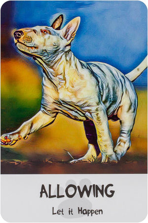 Divine Dog Wisdom Cards (2Nd Edition) **Co