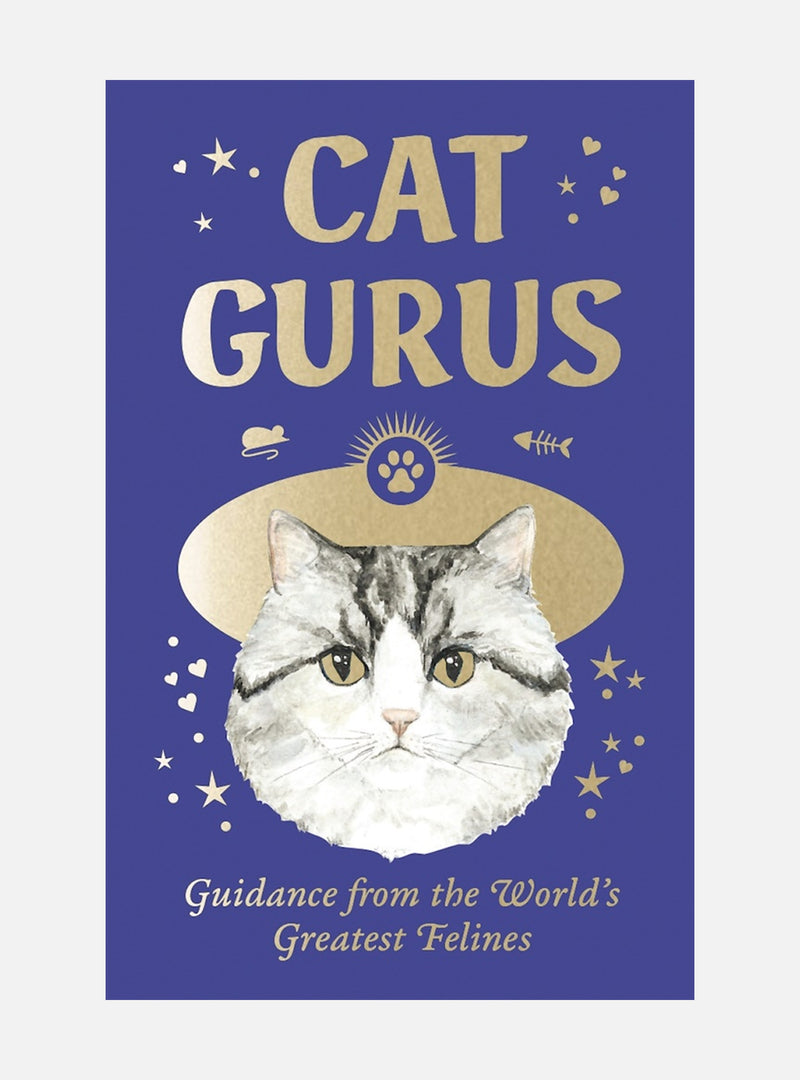 Cat Gurus: Mini