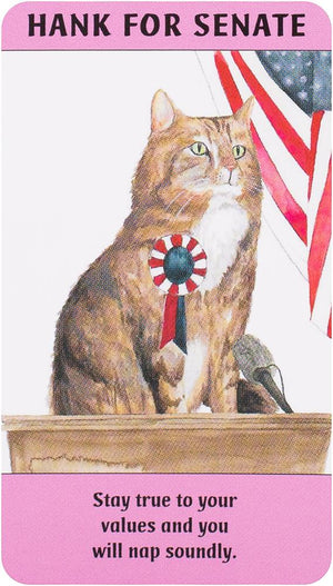 Cat Gurus: Mini