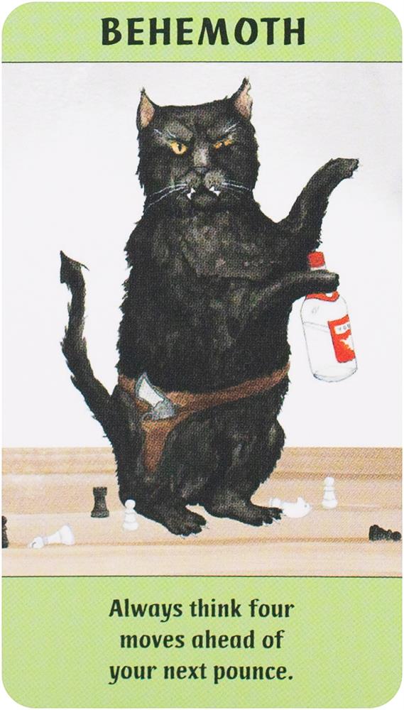 Cat Gurus: Mini