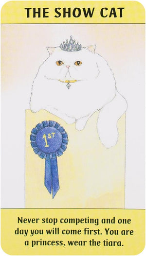 Cat Gurus: Mini