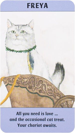 Cat Gurus: Mini